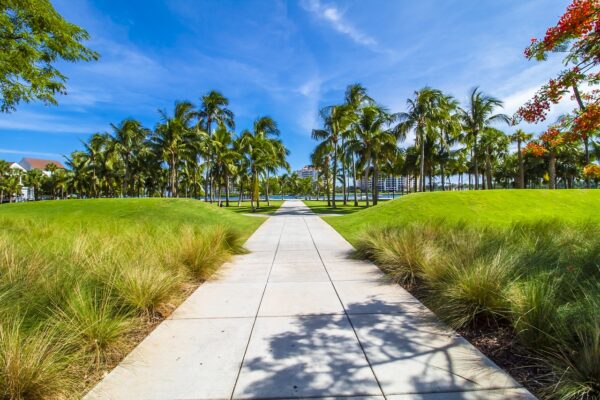 America’s Secret: Miami Is A Tropical Paradise You Need To Explore!