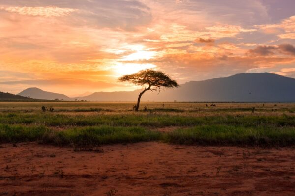 5 Beautiful Places to Visit in Africa